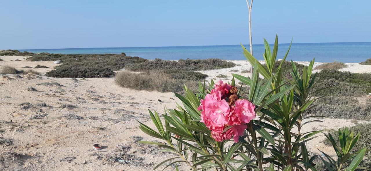 Dar Chick Yahia Ile De Djerba Bed & Breakfast Mezrane Eksteriør bilde